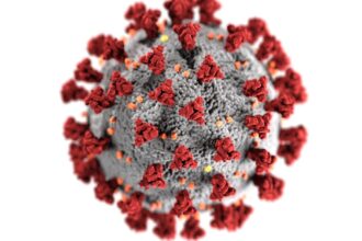 découvrez tout ce qu'il faut savoir sur la grippe : symptômes, prévention, traitements et conseils pour protéger votre santé et celle de vos proches pendant la saison hivernale.