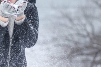 découvrez l'univers fascinant du froid : ses effets sur notre quotidien, ses applications dans divers domaines et comment il influence notre climat. plongez dans le monde des températures glaciales et apprenez à apprécier la beauté des paysages hivernaux.
