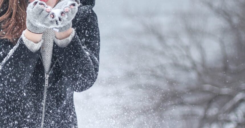découvrez l'univers fascinant du froid : ses effets sur notre quotidien, ses applications dans divers domaines et comment il influence notre climat. plongez dans le monde des températures glaciales et apprenez à apprécier la beauté des paysages hivernaux.
