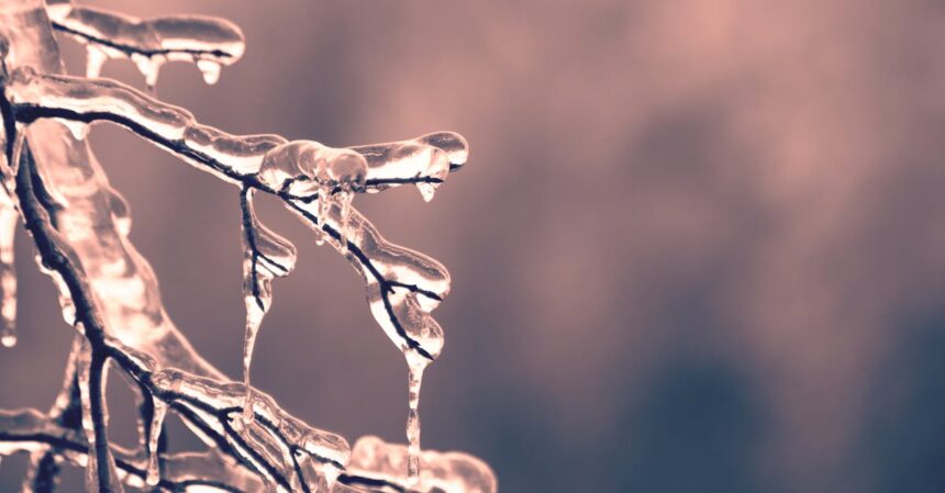 découvrez l'univers fascinant du froid : des méthodes pour se protéger, les merveilles de la neige et les effets du froid sur la nature et la santé. plongez dans des astuces pour apprécier le charme de l'hiver tout en restant en sécurité.