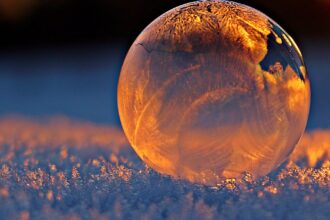 découvrez l'univers du froid : ses origines, ses effets fascinants et les merveilles de la glace et de l'hiver. explorez comment le froid influence notre environnement, notre santé et nos activités quotidiennes.