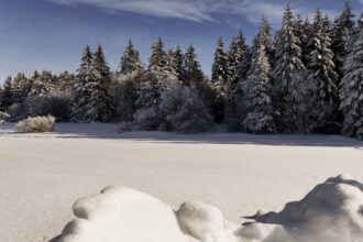découvrez des conseils pratiques et des remèdes naturels pour soulager les symptômes des rhumes saisonniers, tout en renforçant votre système immunitaire pour affronter les changements de température.
