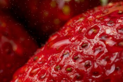 découvrez les causes et solutions pour la rougeur de la peau. apprenez à identifier les symptômes, à prendre soin de votre peau et à trouver les meilleurs traitements pour réduire l'inflammation et retrouver un teint éclatant.
