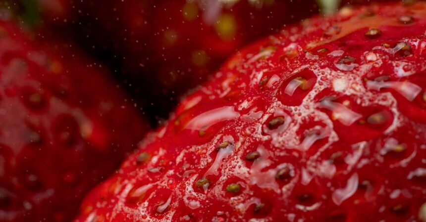 découvrez les causes et solutions pour la rougeur de la peau. apprenez à identifier les symptômes, à prendre soin de votre peau et à trouver les meilleurs traitements pour réduire l'inflammation et retrouver un teint éclatant.
