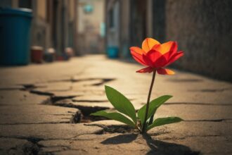 découvrez la puissance de la résilience : un guide pour surmonter les défis, développer votre force intérieure et rebondir face à l'adversité. apprenez des stratégies pratiques pour cultiver une mentalité résiliente et transformer les obstacles en opportunités de croissance personnelle.