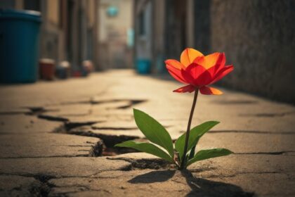 découvrez la puissance de la résilience : un guide pour surmonter les défis, développer votre force intérieure et rebondir face à l'adversité. apprenez des stratégies pratiques pour cultiver une mentalité résiliente et transformer les obstacles en opportunités de croissance personnelle.