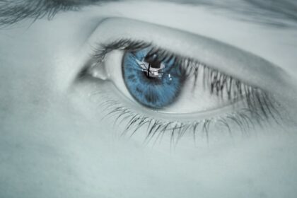 découvrez tout sur la sensibilité : ses définitions, ses enjeux dans les relations humaines et son impact sur la vie quotidienne. apprenez à mieux comprendre et gérer vos émotions.