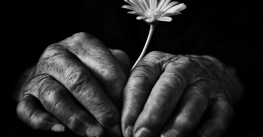 découvrez des solutions efficaces pour soulager la sensibilité des gencives. apprenez les causes, les symptômes et les meilleures pratiques pour maintenir une santé bucco-dentaire optimale.