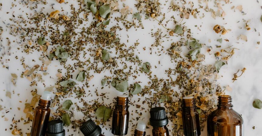découvrez des remèdes naturels efficaces pour améliorer votre bien-être au quotidien. explorez des solutions à base de plantes, d'huiles essentielles et de recettes maison pour un mode de vie sain et équilibré.