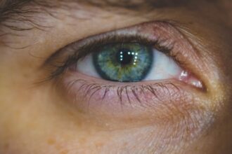 découvrez des conseils et produits essentiels pour le soin des paupières, afin de préserver leur beauté et leur santé. apprenez à apaiser les irritations, hydrater la peau délicate et prévenir le vieillissement prématuré.