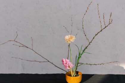 découvrez des techniques efficaces de gestion de l'anxiété pour améliorer votre bien-être mental et retrouver la sérénité. apprenez à maîtriser le stress au quotidien grâce à des stratégies adaptées à vos besoins.