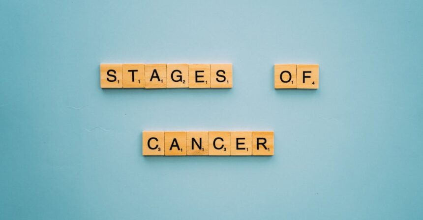 découvrez les différents stades du cancer, leur classification, et comment ils influencent le diagnostic et le traitement. informez-vous sur l'importance de la détection précoce et des options thérapeutiques adaptées à chaque stade.