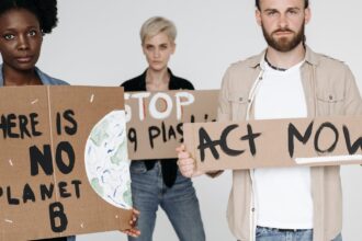 découvrez tout ce que vous devez savoir sur le streptocoque du groupe b, ses symptômes, ses risques et son traitement. informez-vous sur la prévention des infections et les enjeux liés à cette bactérie pour assurer votre santé et celle de vos proches.