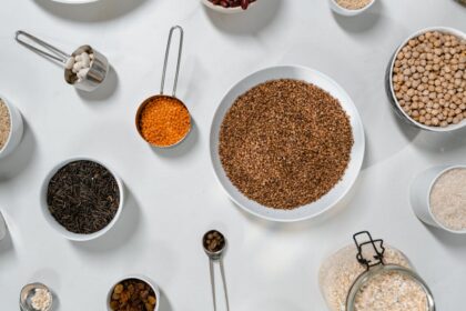 découvrez les superfoods, ces aliments aux multiples bienfaits pour la santé, riches en nutriments et antioxydants. améliorez votre alimentation avec des ingrédients naturels qui boostent votre énergie et renforcent votre système immunitaire.