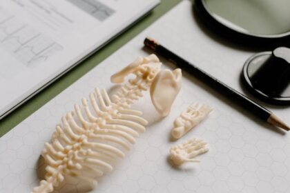 découvrez l'importance de la santé osseuse pour une vie active et épanouissante. explorez nos conseils sur la nutrition, l'exercice et les bonnes pratiques pour renforcer vos os et prévenir les maladies liées à l'âge.