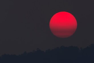 découvrez l'univers fascinant du sang, élément vital de notre corps. apprenez ses fonctions, son rôle dans la santé, et plongez dans les mystères de cette substance essentielle à la vie.