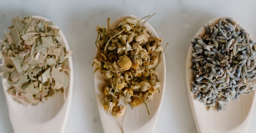 découvrez des remèdes naturels efficaces pour soulager vos sinus. apprenez à utiliser les plantes, les huiles essentielles et d'autres astuces naturelles pour dégager vos voies respiratoires et améliorer votre confort.