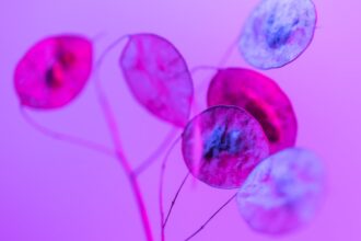 découvrez tout ce que vous devez savoir sur l'utérus rétroversé : causes, symptômes, impacts sur la fertilité et conseils pour une grossesse en santé. informez-vous sur cette condition fréquente et apprenez comment elle peut affecter votre santé reproductive.