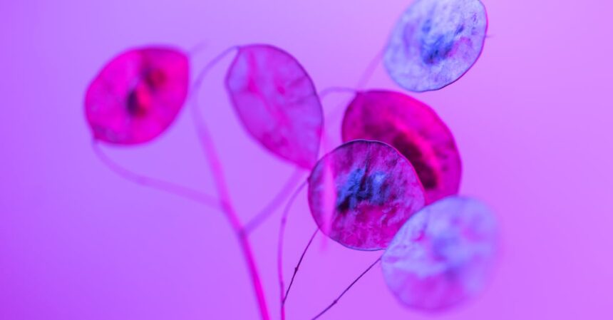 découvrez tout ce que vous devez savoir sur l'utérus rétroversé : causes, symptômes, impacts sur la fertilité et conseils pour une grossesse en santé. informez-vous sur cette condition fréquente et apprenez comment elle peut affecter votre santé reproductive.