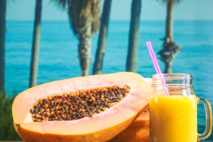découvrez les vitamines essentielles pour votre santé et votre bien-être. apprenez comment elles jouent un rôle clé dans le fonctionnement de votre organisme et comment les intégrer facilement dans votre alimentation quotidienne.