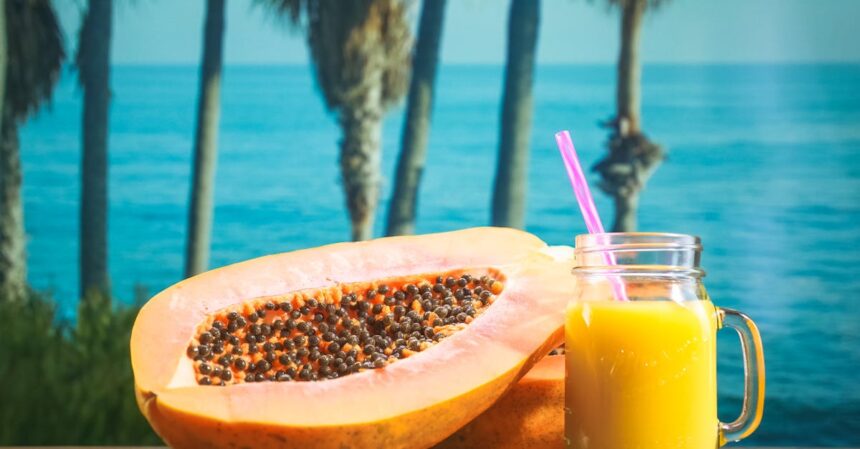 découvrez les vitamines essentielles pour votre santé et votre bien-être. apprenez comment elles jouent un rôle clé dans le fonctionnement de votre organisme et comment les intégrer facilement dans votre alimentation quotidienne.
