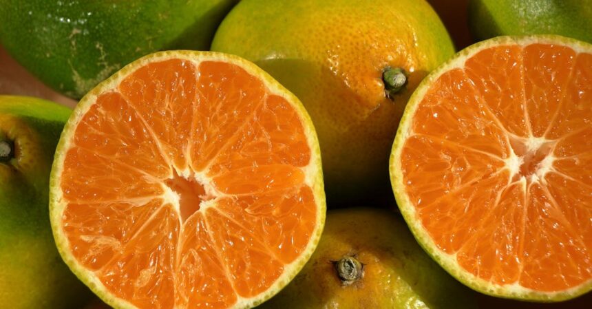 découvrez les vitamines du sommeil pour améliorer la qualité de votre sommeil. nos compléments naturels vous aident à vous détendre, à réduire l'insomnie et à profiter de nuits paisibles. réveillez-vous rechargé et prêt à affronter la journée !