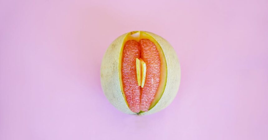 découvrez tout ce que vous devez savoir sur la vulve : anatomie, santé, sexualité et bien-être. une ressource informative pour mieux comprendre cet organe essentiel et son rôle dans le corps féminin.