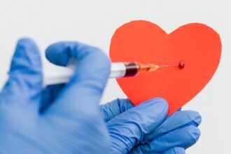 découvrez des conseils essentiels pour améliorer la santé de votre cœur. apprenez des astuces nutritionnelles, des exercices et des habitudes de vie pour renforcer votre bien-être cardiaque et vivre en pleine forme.
