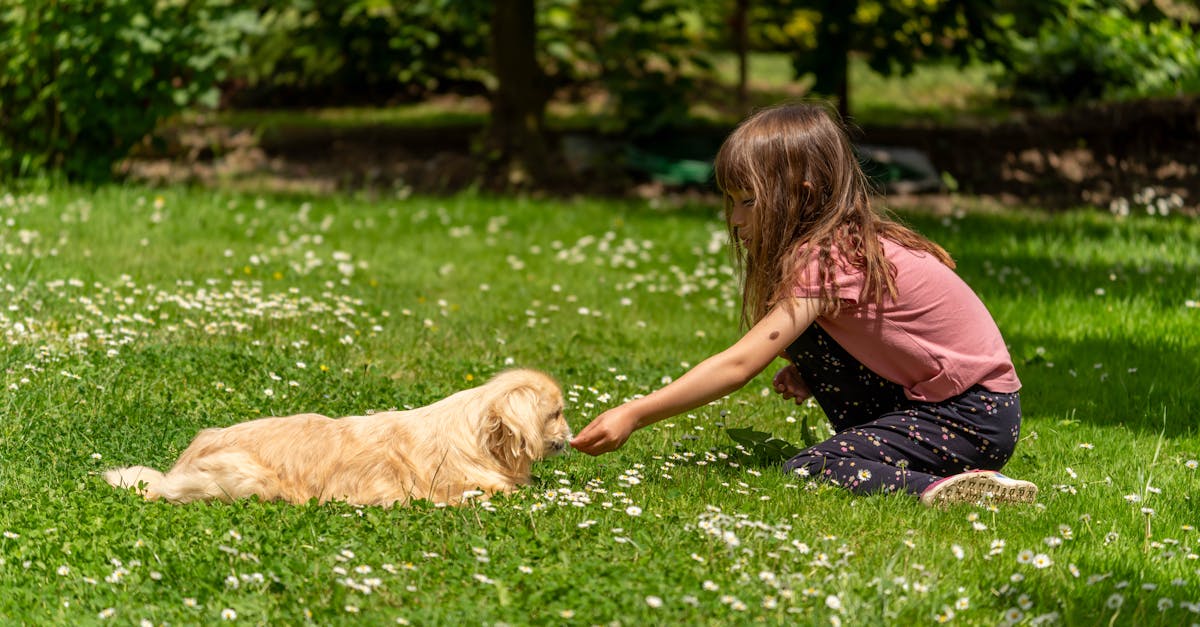 découvrez nos solutions de soins après-soleil pour apaiser et hydrater votre peau, tout en prolongeant votre bronzage. offrez à votre épiderme le réconfort qu'il mérite après une exposition au soleil.