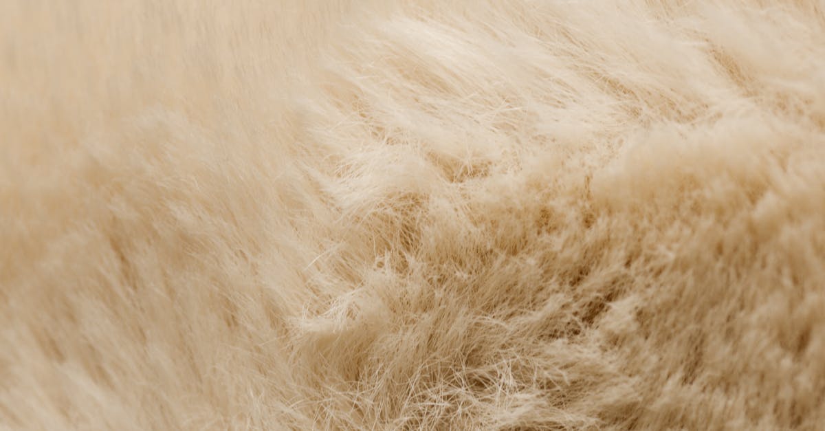 découvrez notre crème anti-luisance, conçue pour matifier votre peau tout en l'hydratant. profitez d'un teint frais et éclatant sans brillance, parfaite pour un usage quotidien et adaptée à tous les types de peau.