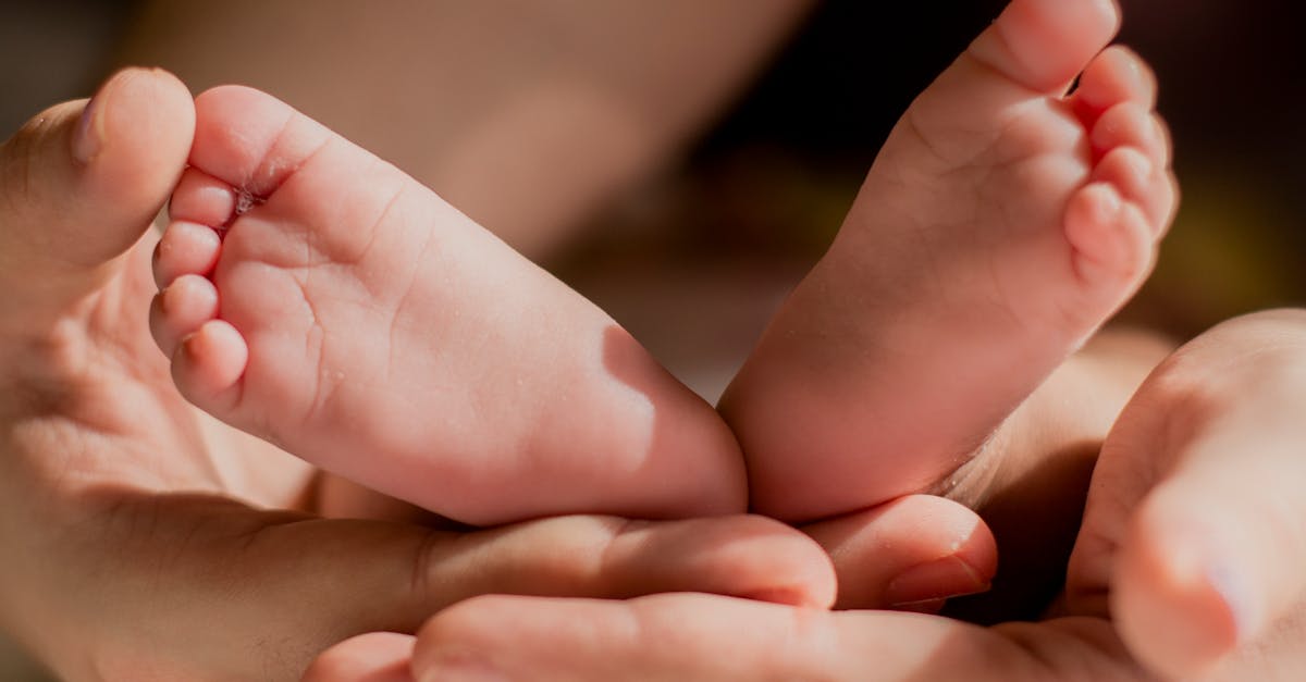 découvrez ce qu'est l'attachement évitant, ses caractéristiques et son impact sur les relations personnelles. apprenez comment reconnaître ce type d'attachement et explorez des stratégies pour favoriser des connexions émotionnelles plus saines.