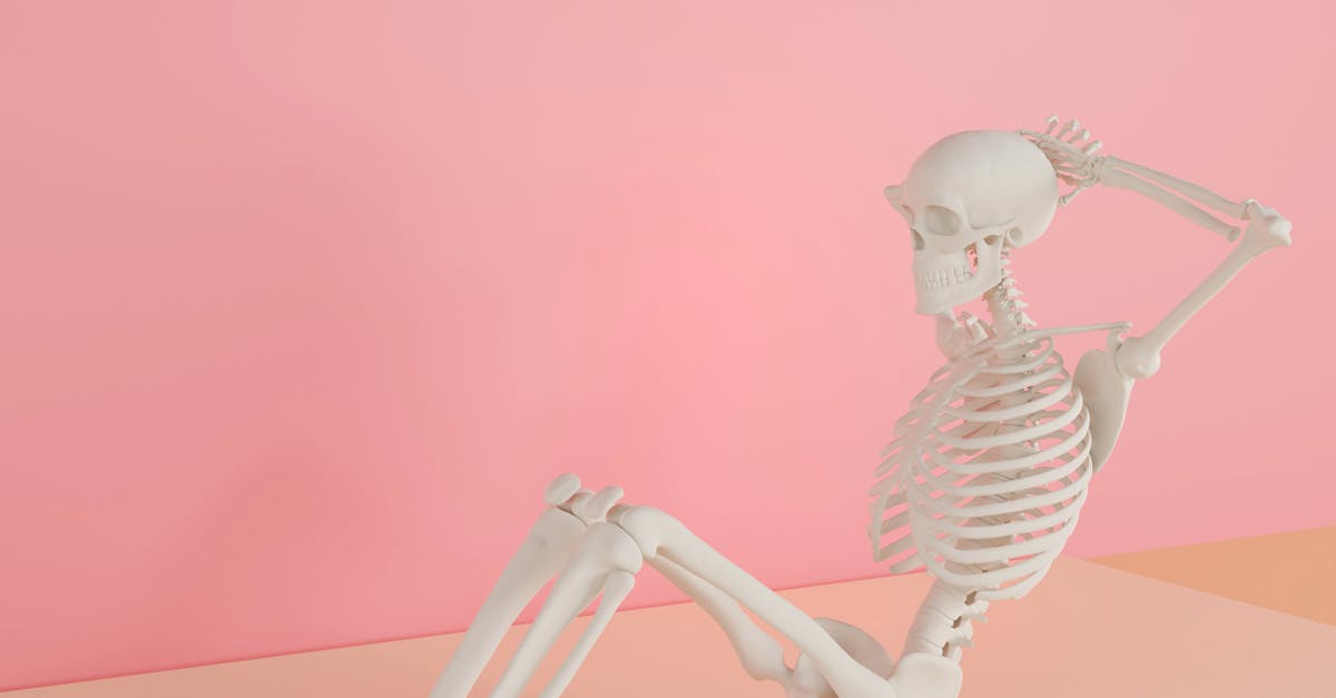 découvrez les meilleures pratiques pour maintenir la santé de vos os. apprenez comment une alimentation équilibrée, l'exercice régulier et des habitudes de vie saines peuvent renforcer vos os et prévenir les maladies osseuses. prenez soin de votre squelette pour une vie active et épanouissante.