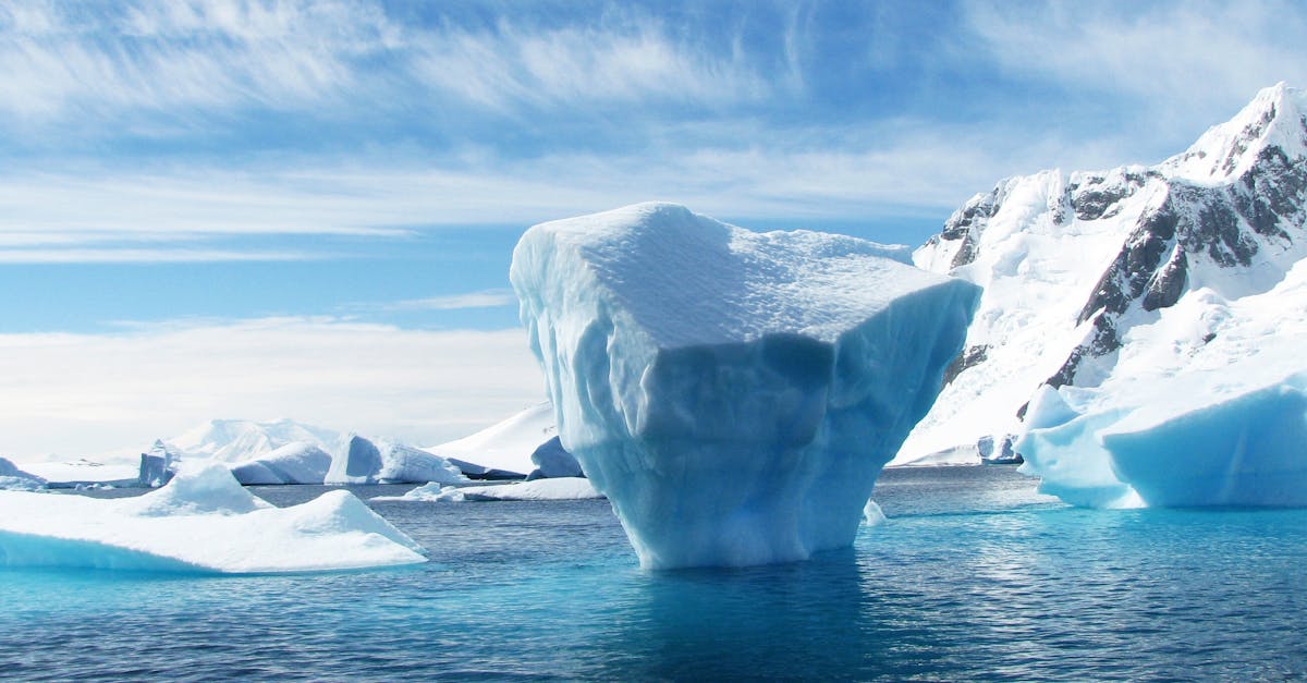 découvrez les effets du froid sur notre corps et notre environnement. explorez des conseils pour rester au chaud en hiver et apprenez comment le froid peut influencer votre santé et votre bien-être.