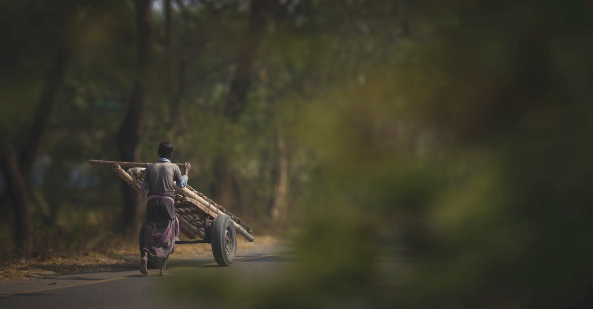 découvrez les compléments alimentaires pour stimuler la croissance des cheveux. formulés avec des ingrédients naturels, ces suppléments aident à renforcer vos cheveux, favoriser leur pousse et améliorer leur santé globale. transformez votre routine capillaire dès maintenant !