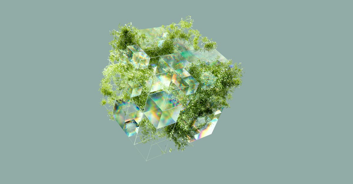 découvrez notre sélection de plantes amicales pour le cœur, idéales pour embellir votre intérieur tout en améliorant votre santé. adoptez des espèces qui purifient l'air et favorisent votre bien-être, tout en ajoutant une touche de verdure à votre espace de vie.