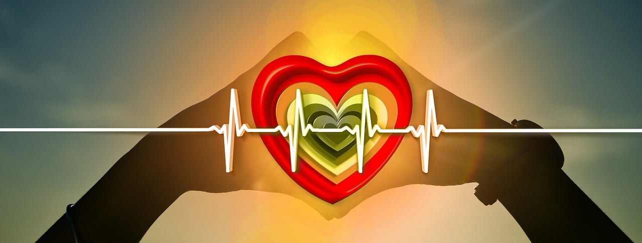 découvrez des conseils essentiels pour maintenir votre santé cardiaque. apprenez l'importance d'une alimentation équilibrée, d'une activité physique régulière et des examens médicaux pour préserver votre cœur en pleine forme.
