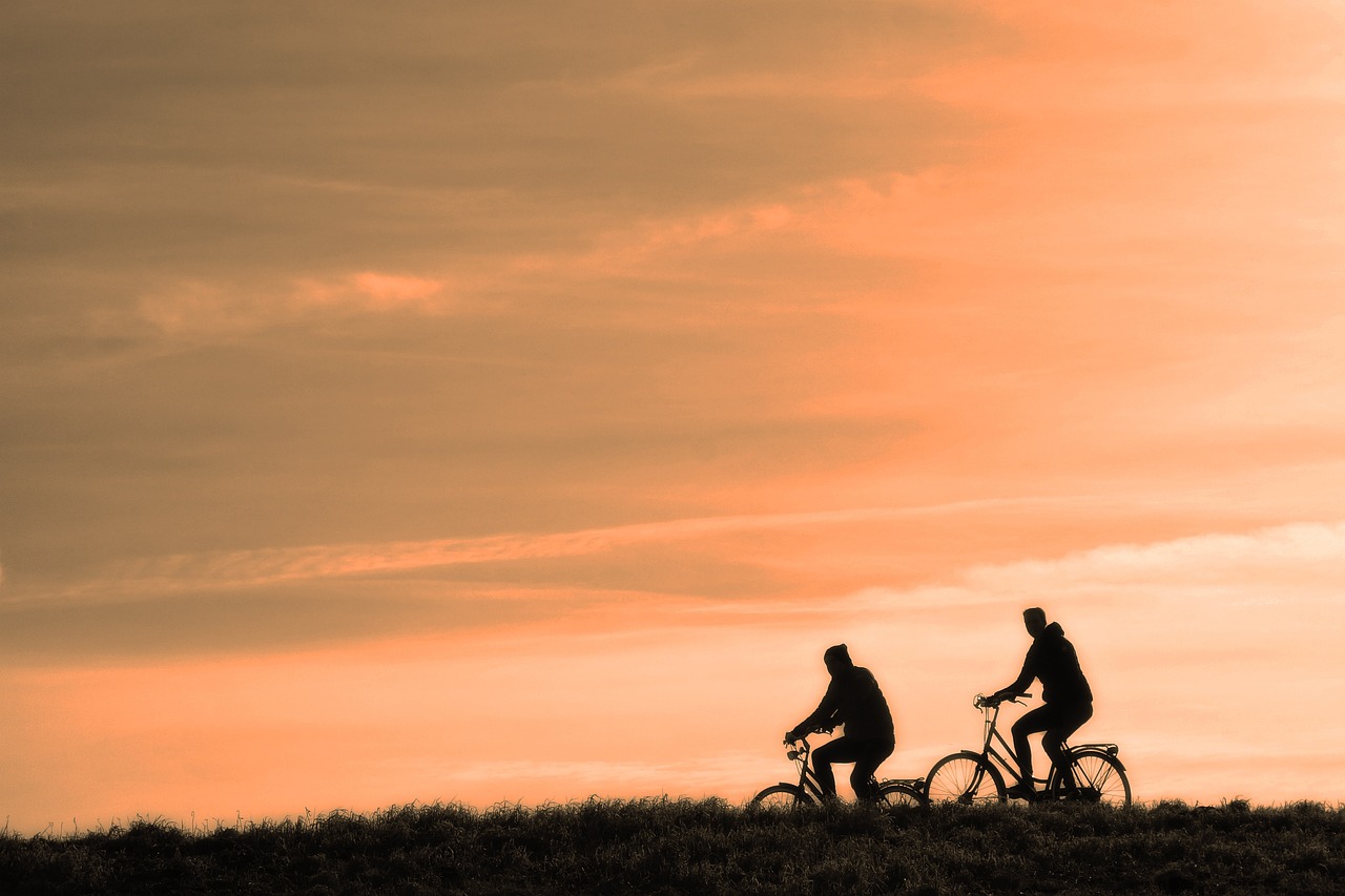 découvrez une variété d'exercices pour les jambes qui renforcent, tonifient et sculptent vos muscles. améliorez votre endurance et votre mobilité avec notre sélection d'activités adaptées à tous les niveaux.