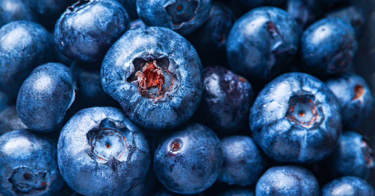 découvrez notre guide complet sur le régime hépatique, conçu pour améliorer la santé de votre foie. apprenez les aliments à privilégier, les recettes savoureuses, et des conseils pratiques pour adopter un mode de vie sain qui favorise la détoxification et le bien-être hépatique.