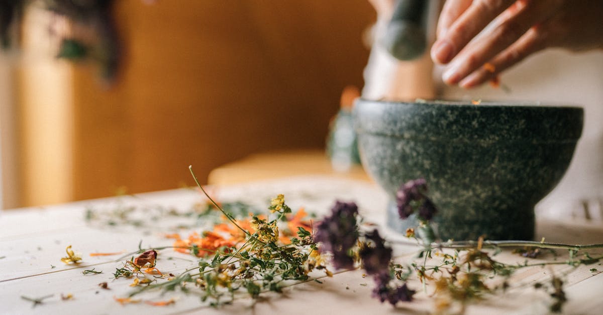 découvrez les plantes médicinales et leurs vertus exceptionnelles pour votre santé. apprenez comment les utiliser efficacement pour soulager divers maux et améliorer votre bien-être au quotidien.