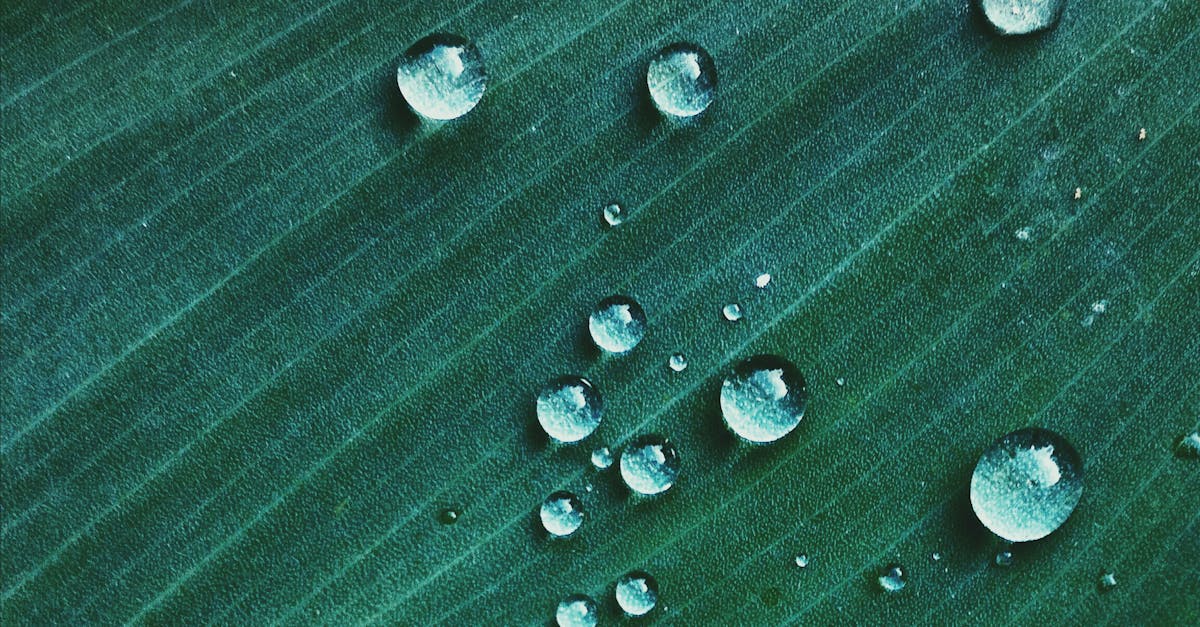 découvrez les bienfaits des micro-naps, ces courtes siestes revitalisantes qui améliorent la concentration, boostent la créativité et revitalisent le corps pour une journée plus productive.
