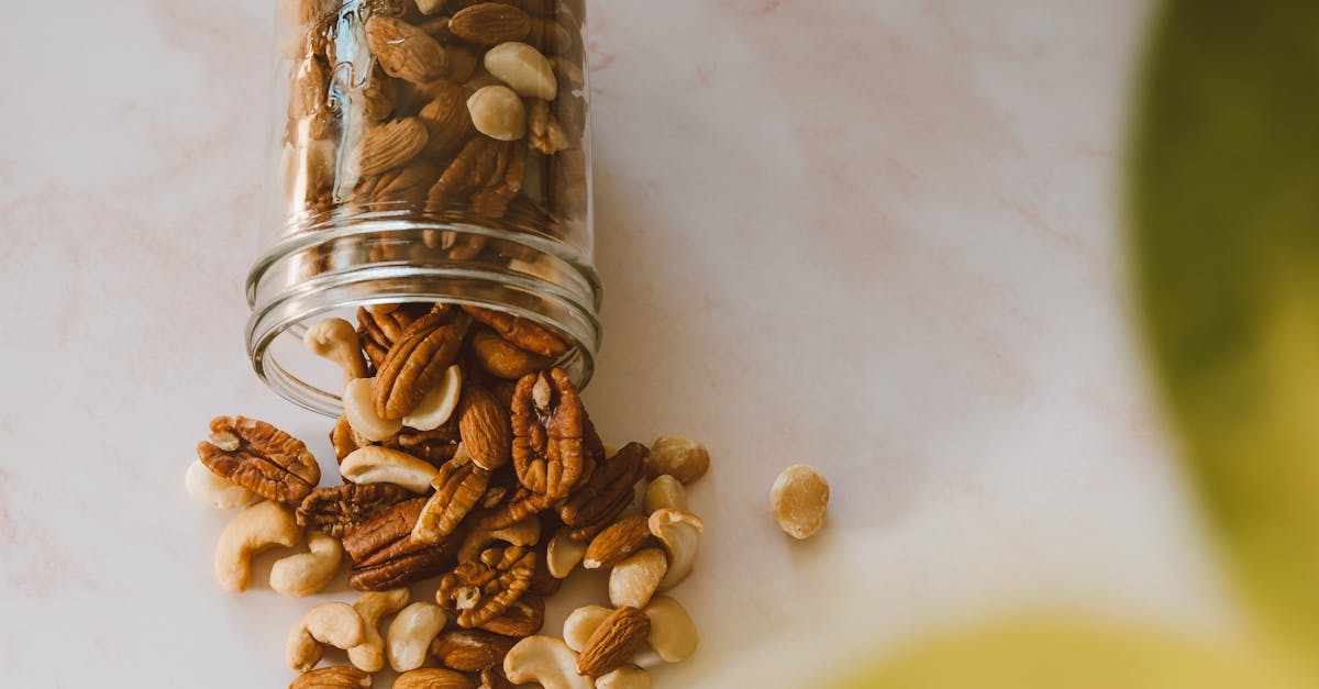 découvrez les bienfaits des protéines végétales : des sources nutritives essentielles pour une alimentation saine, favorisant un mode de vie durable et respectueux de l'environnement.