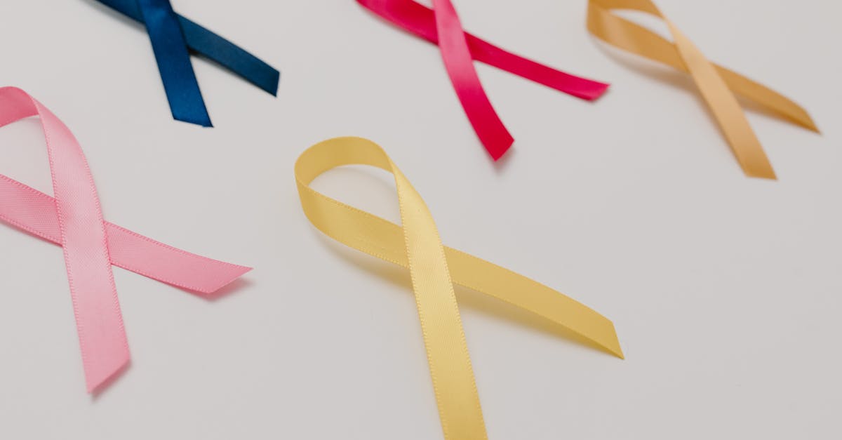 découvrez tout ce qu'il faut savoir sur la prostate : son rôle, les maladies qui l'affectent et les conseils pour maintenir une bonne santé prostatique. informez-vous sur les symptômes, les traitements et les avancées médicales relacionadas.