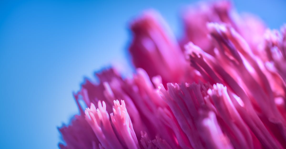 découvrez les bienfaits de l'acide salicylique, un composé clé pour traiter l'acné et améliorer la texture de la peau. apprenez comment ce puissant exfoliant élimine les impuretés et prévient les imperfections tout en favorisant un teint éclatant et sain.