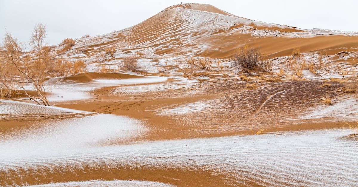découvrez nos conseils et astuces pour lutter contre le rhume saisonnier. apprenez comment renforcer votre système immunitaire, soulager les symptômes et profiter de l'hiver en pleine forme.