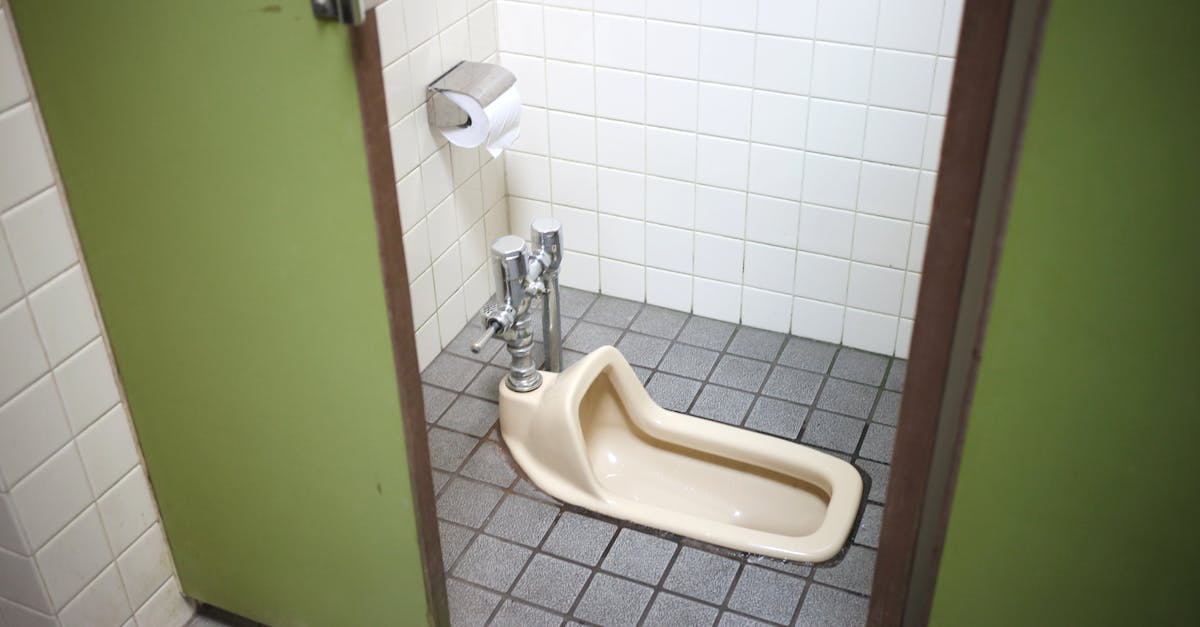 découvrez tout ce que vous devez savoir sur la miction, y compris ses mécanismes, ses troubles et des conseils pour maintenir une santé urinaire optimale.