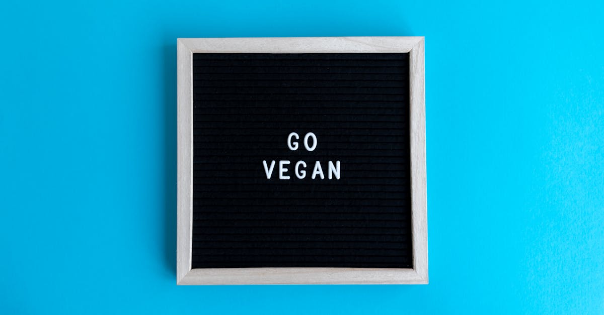 découvrez le véganisme, un mode de vie éthique et durable qui exclut toutes formes d'exploitation animale. explorez ses bienfaits pour la santé, l'environnement et le bien-être des animaux, ainsi que des recettes délicieuses et des conseils pratiques pour adopter ce mode de vie.