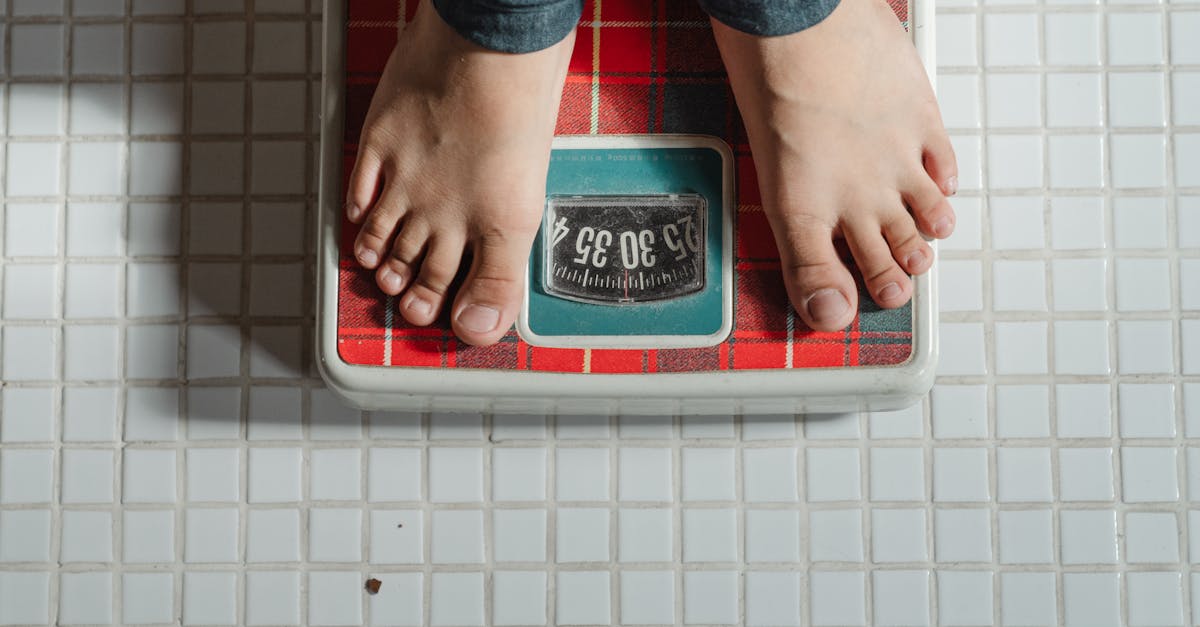 découvrez des recettes délicieuses et saines pour perdre du poids facilement. nos plats nutritifs et savoureux vous aideront à atteindre vos objectifs tout en régalant vos papilles.