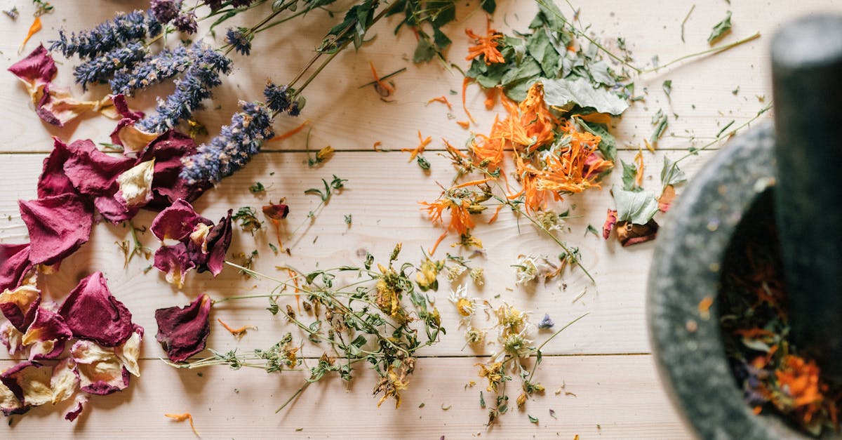 découvrez les bienfaits de la médecine alternative, qui offre des approches naturelles et holistiques pour améliorer votre bien-être. explorez des pratiques variées telles que l'acupuncture, l'homéopathie et la phytothérapie, adaptées à vos besoins de santé.