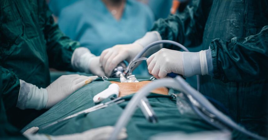 découvrez les différentes techniques d'anesthésie, leurs applications et bénéfices pour garantir des interventions chirurgicales en toute sécurité. informez-vous sur les méthodes modernes utilisées pour optimiser le confort et le bien-être des patients.