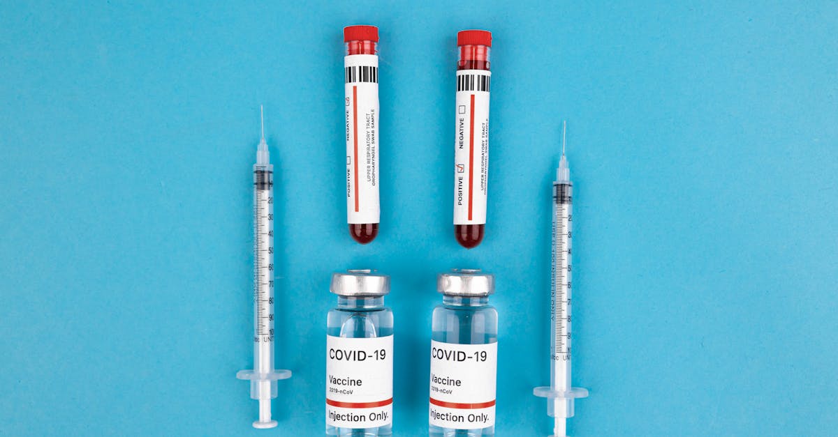 découvrez tout sur les anticorps : leur rÎle essentiel dans le systÚme immunitaire, leur production, et les différentes types d'anticorps utilisés en médecine pour le diagnostic et le traitement des maladies.